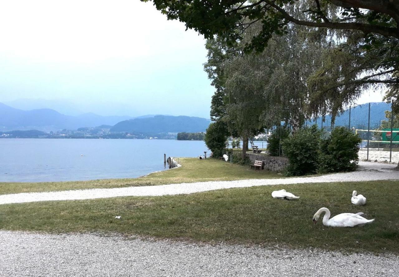 Seeblick Apartment/Zimmer Gmunden Exterior foto